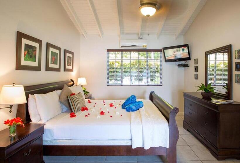 اتاق سوپریور با چشم‌انداز دریا, Blue Waters Inn