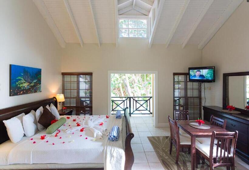 استودیو لوکس با چشمانداز دریا, Blue Waters Inn