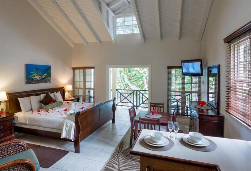 استودیو لوکس با چشم‌انداز دریا, Blue Waters Inn