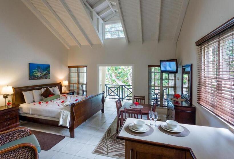 استودیو لوکس با چشمانداز دریا, Blue Waters Inn