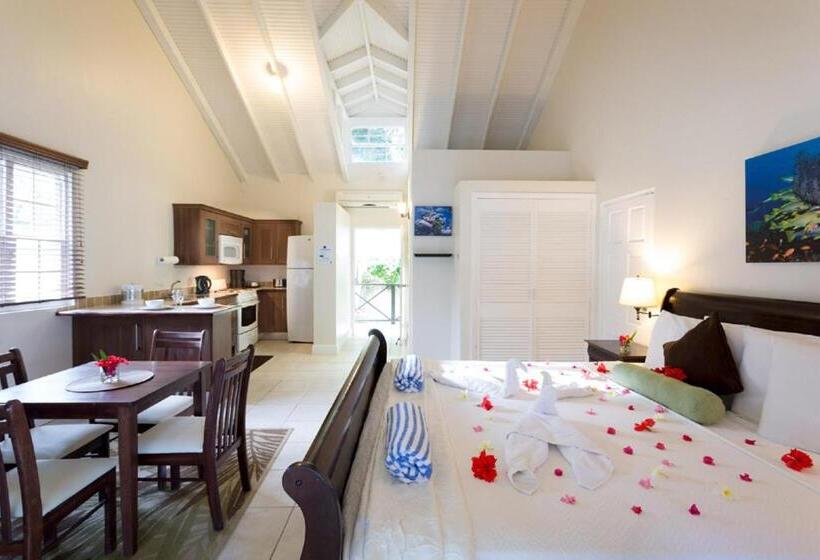 استودیو لوکس با چشمانداز دریا, Blue Waters Inn