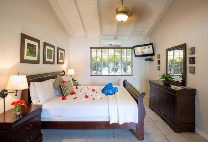 استودیو لوکس با چشمانداز دریا, Blue Waters Inn