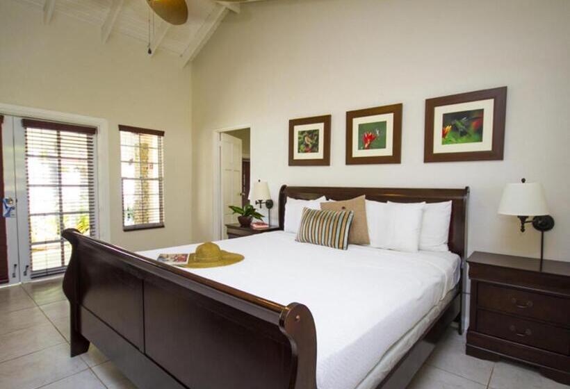 بانگلوی استاندارد با چشمانداز دریا, Blue Waters Inn