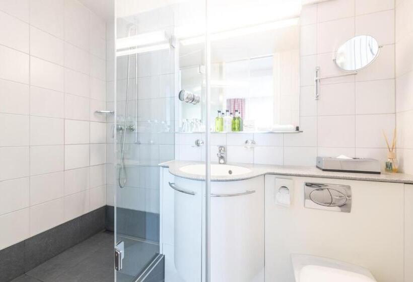 Standard Room, Lenzerhorn