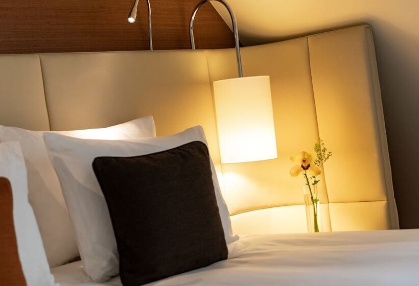 스탠다드 스튜디오, Renaissance Lucerne