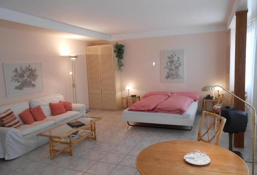 스탠다드 룸, Rigiblick Am See