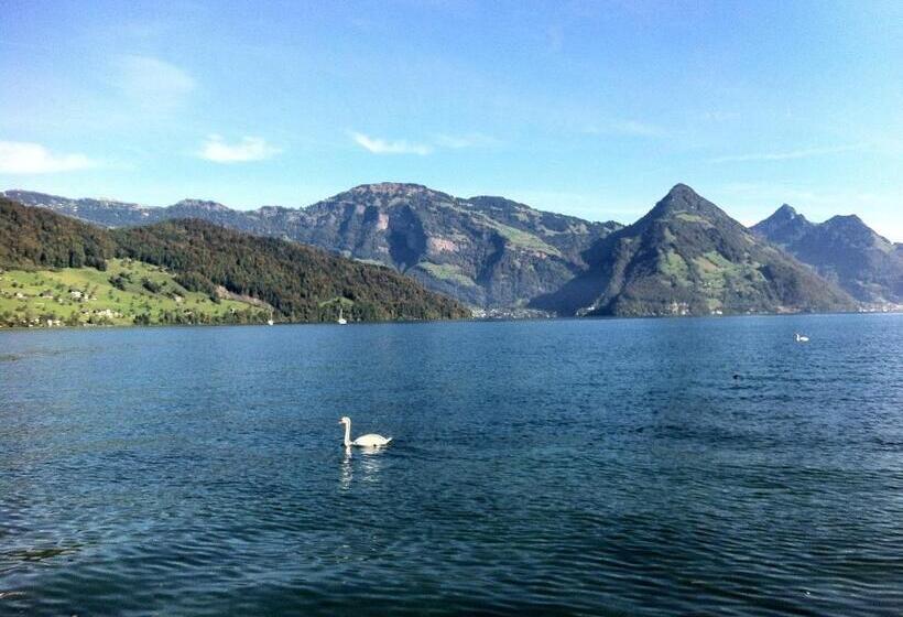 Superior room with lake view, Rigiblick Am See