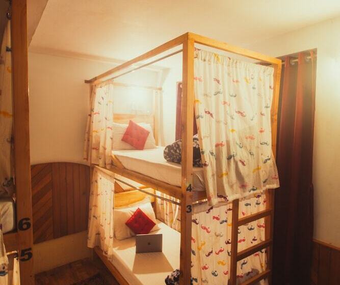 Bed in Shared Room, Moustache Manali Hostel