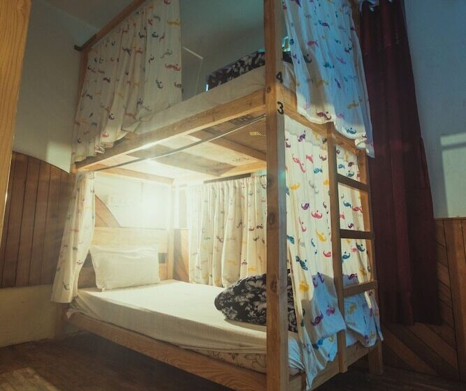Bed in Shared Room, Moustache Manali Hostel