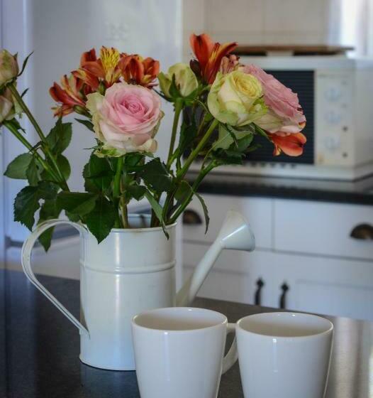 شاليه غرفة نوم واحدة, Skilpadvlei Wine Farm