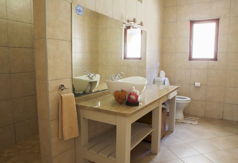 غرفة قياسية, Skilpadvlei Wine Farm