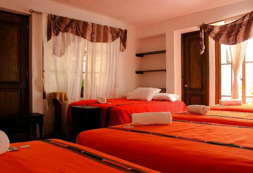 اتاق خانوادگی, Real Antigua