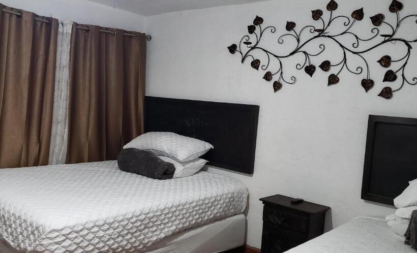 اتاق استاندارد, Real Antigua