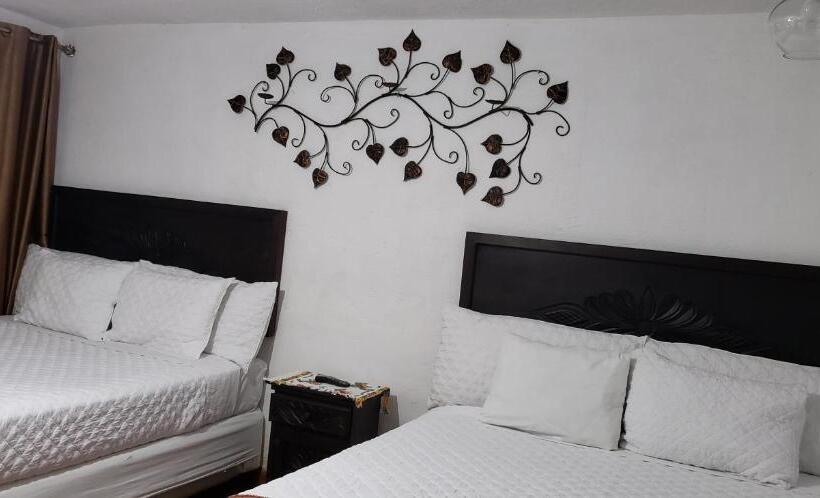 اتاق استاندارد, Real Antigua