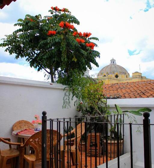 اتاق سوپریور با چشمانداز شهر, Real Antigua