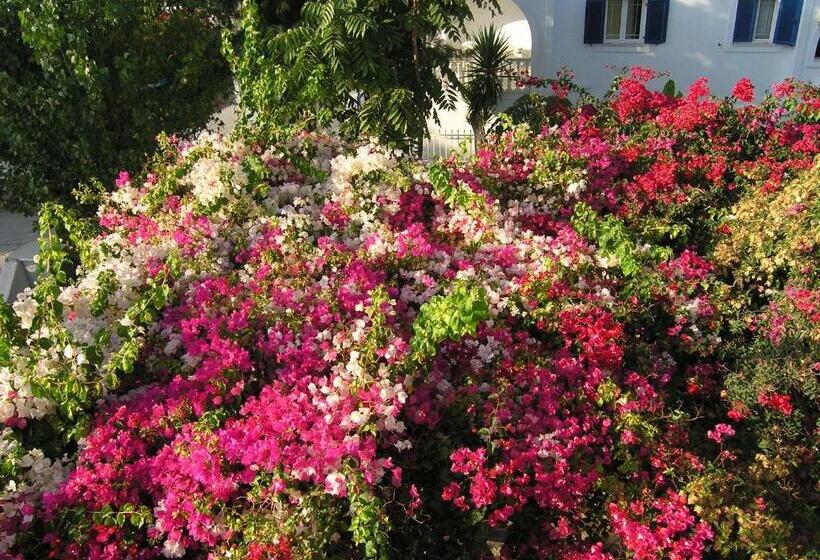 标准间, Pension Chanioti