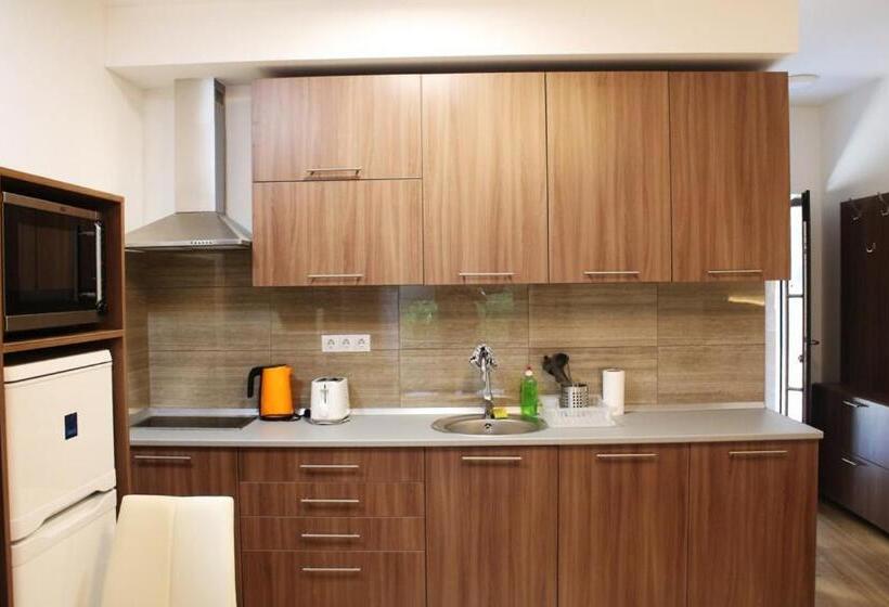 Студия Стандарт, Corvin Holiday Apartments