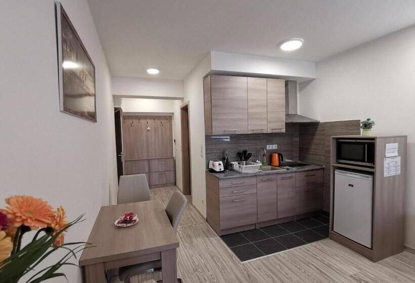 Семейное Студио, Corvin Holiday Apartments