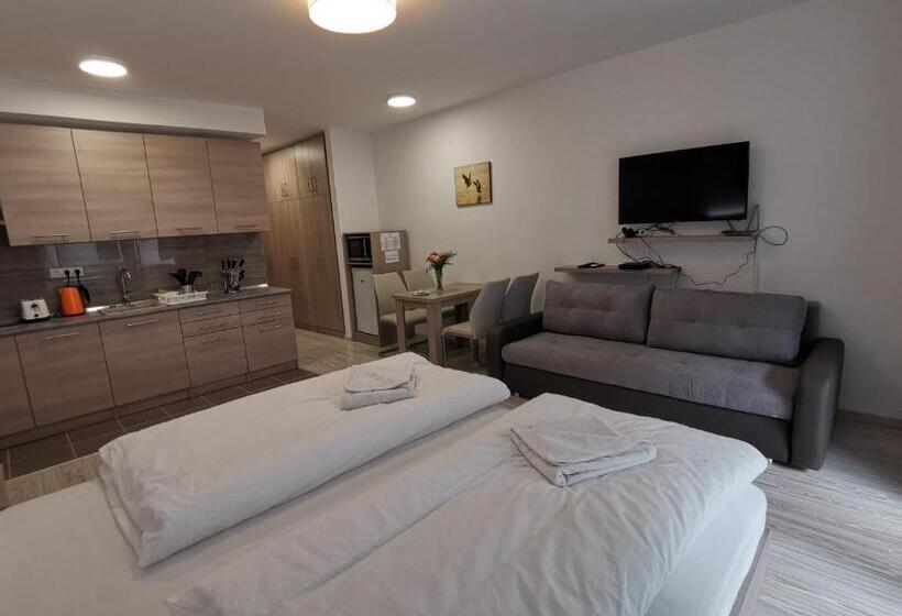 Семейное Студио, Corvin Holiday Apartments