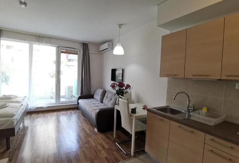 Студия Стандарт, Corvin Holiday Apartments