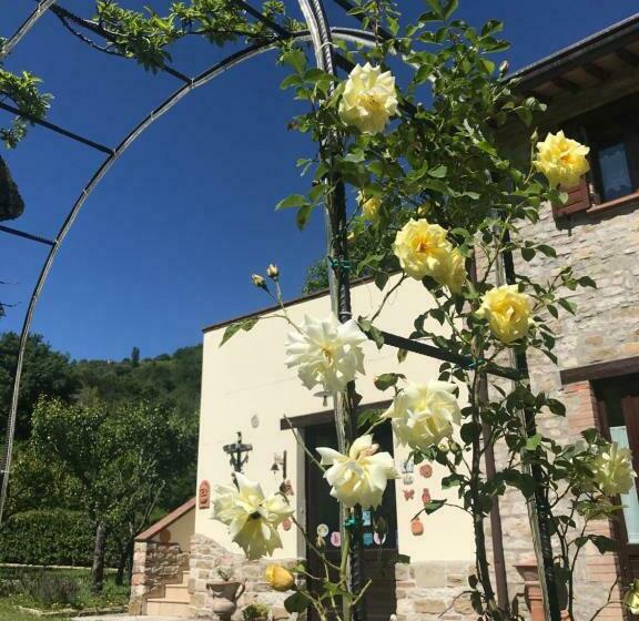 דירת שני חדרים, Domus Laetitiae Santa Croce