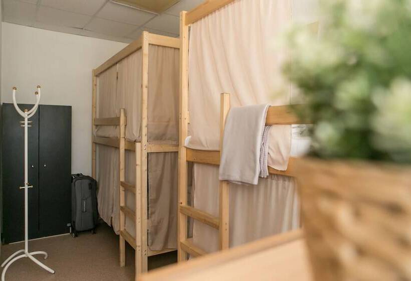 共用房间的床, Maestro Hostel