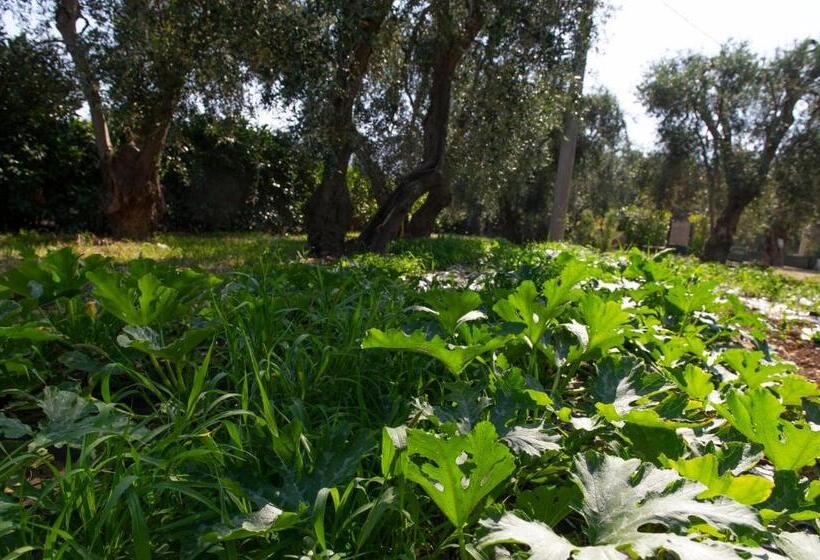 带1个卧室的舒适公寓, Tenuta Santa Maria