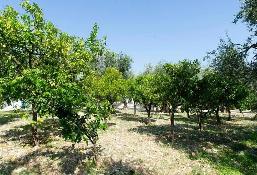 آپارتمان راحتی 1 خوابه, Tenuta Santa Maria