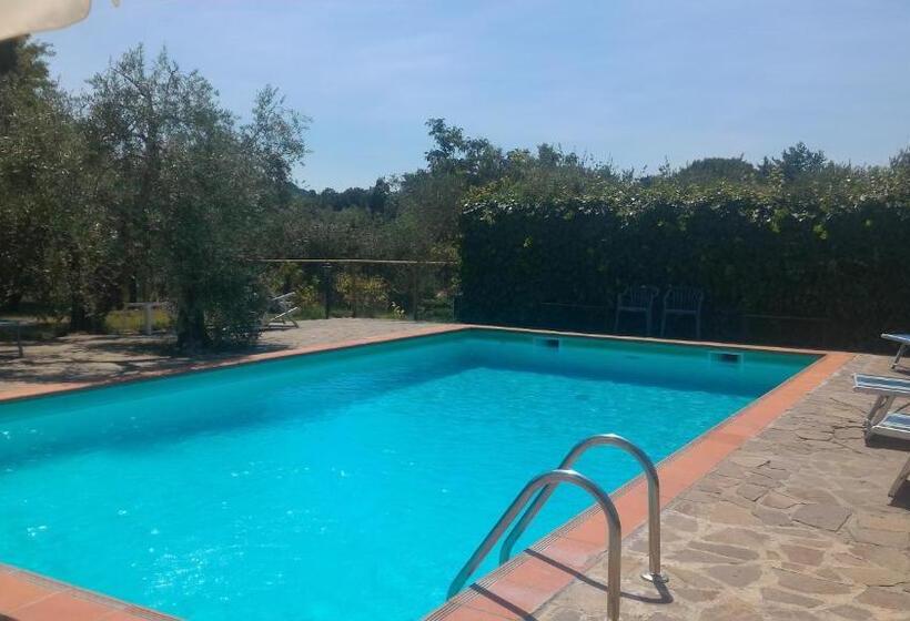 דירת שני חדרים, Borgo Montauto