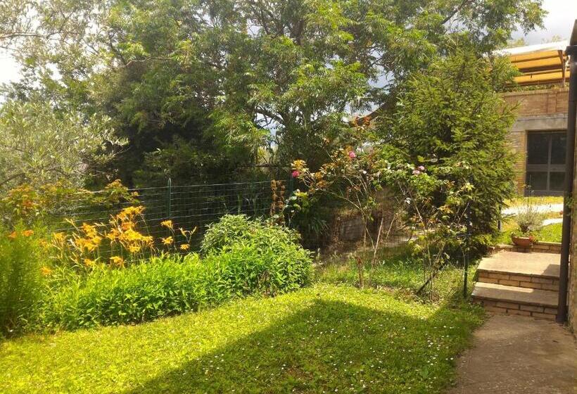 חדר סטנדרט יחיד, Borgo Montauto