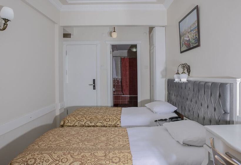 اتاق استاندارد, Hali