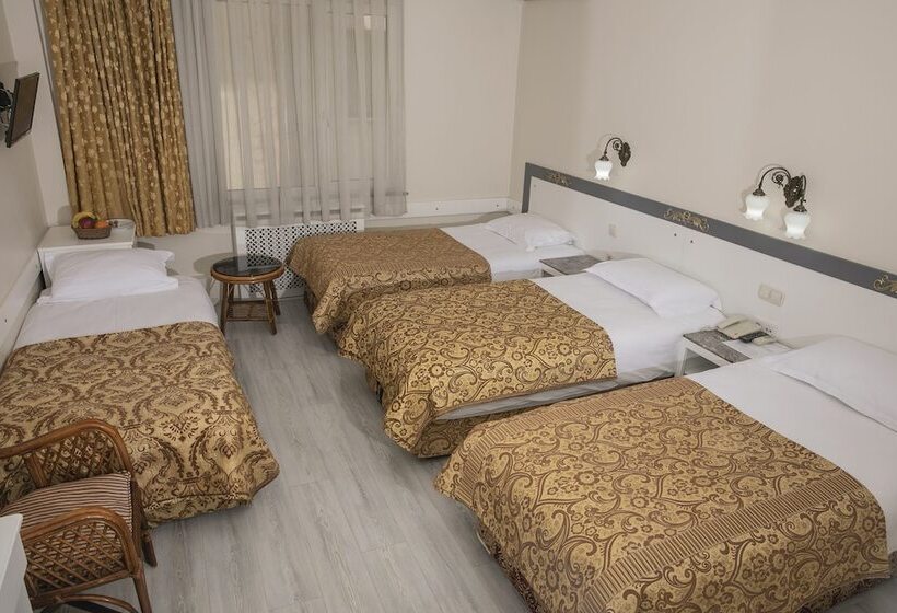 اتاق استاندارد سه نفره, Hali