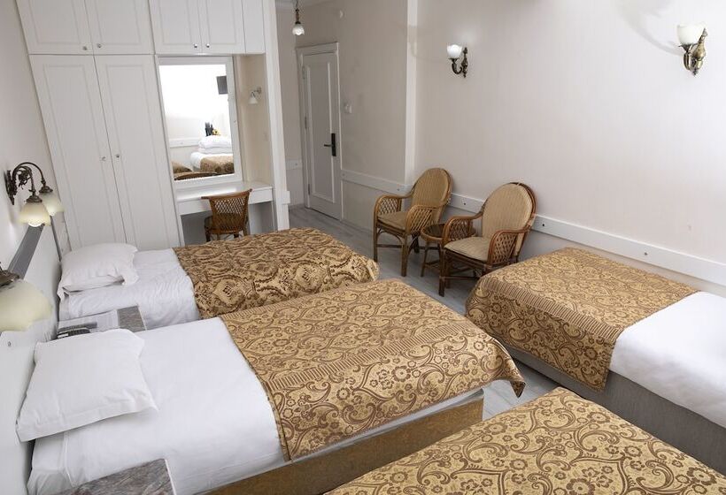 اتاق استاندارد سه نفره, Hali