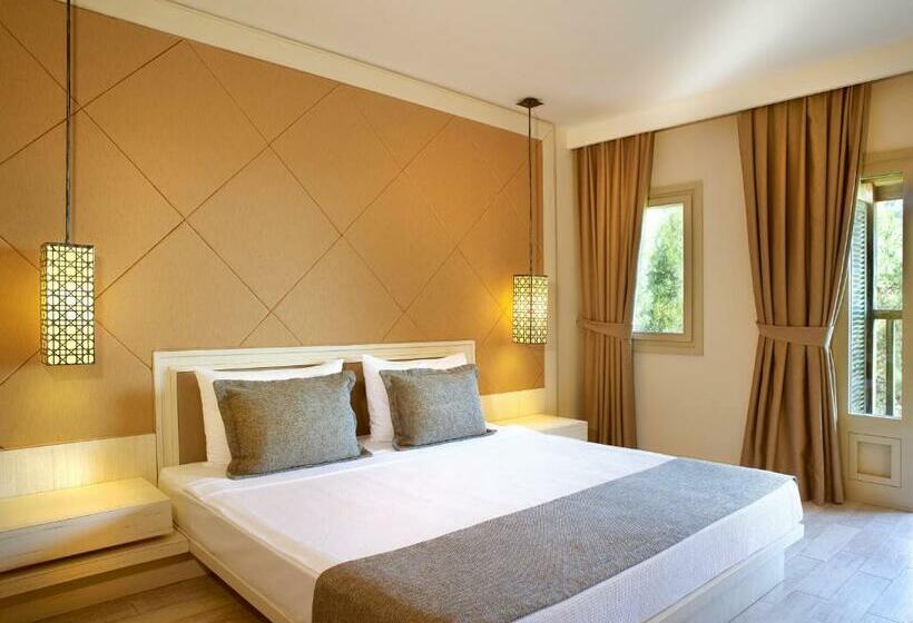 스탠다드 룸 바다 전망, Hapimag Resort Sea Garden