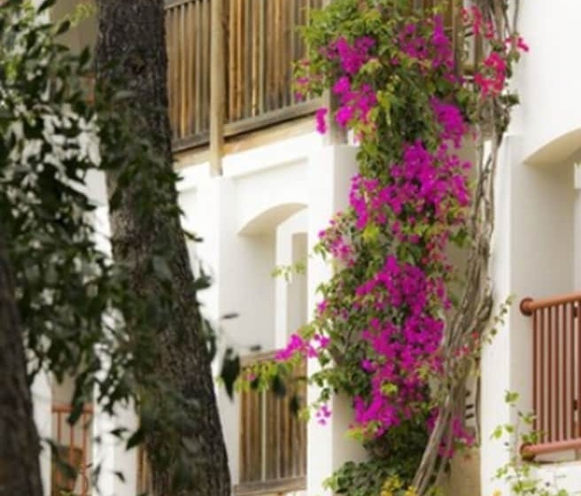 Номер Стандарт Вид на Сад, Hapimag Resort Sea Garden