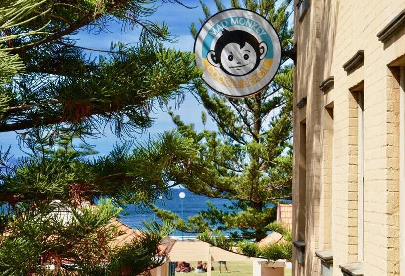 اتاق استاندارد با سرویس بهداشتی مشترک, Mad Monkey Hostel Coogee Beach