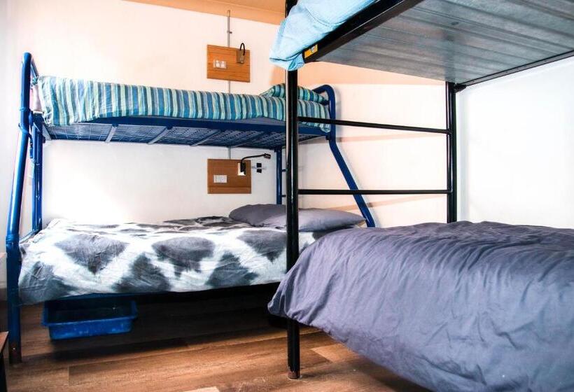 اتاق استاندارد با سرویس بهداشتی مشترک, Mad Monkey Hostel Coogee Beach