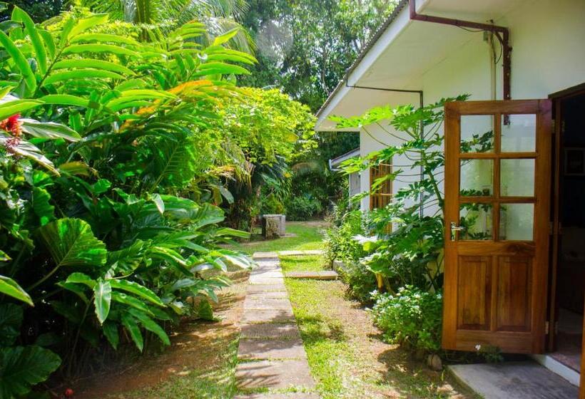 اتاق استاندارد سه نفره, Villa Rafia