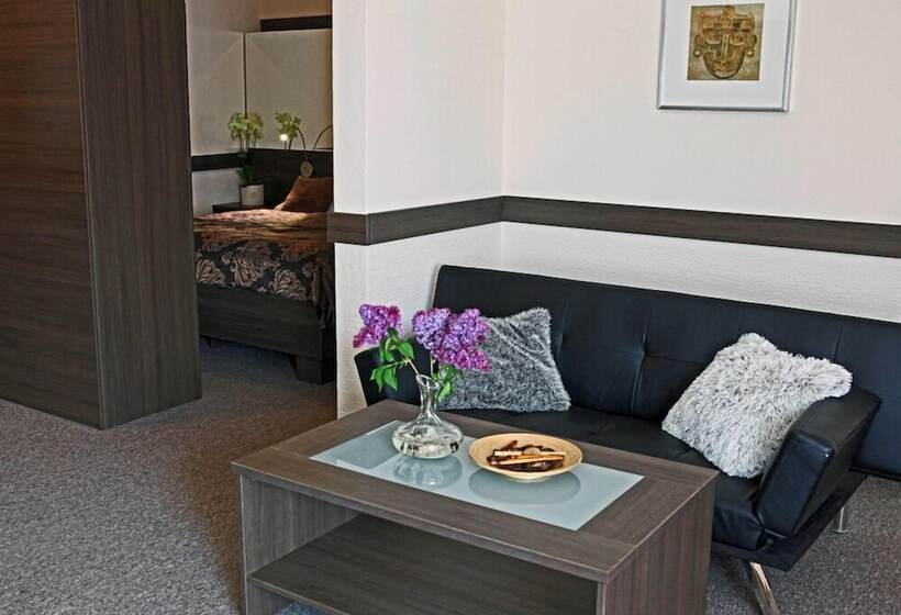 １ベッドルームのスーペリアアパートメント, Centrum With Free Parking