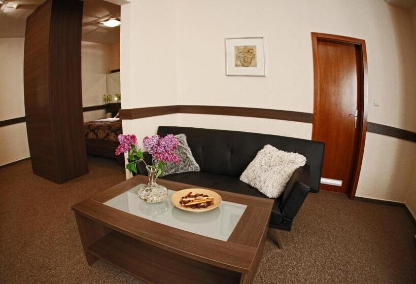 １ベッドルームのスーペリアアパートメント, Centrum With Free Parking