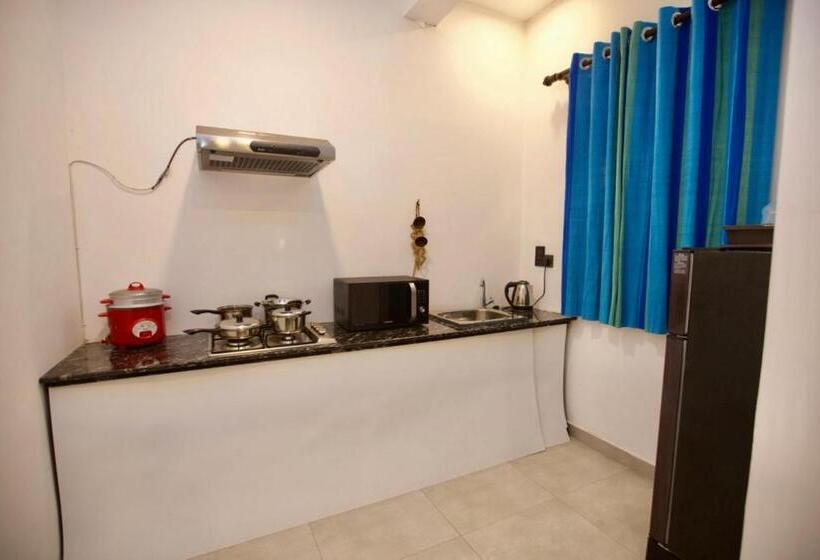 Family Suite, Wavelength