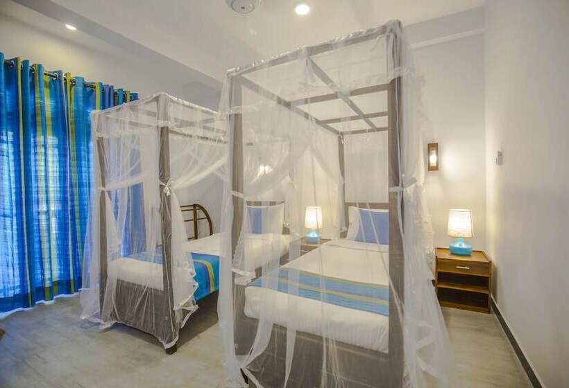 Номер Deluxe, Wavelength