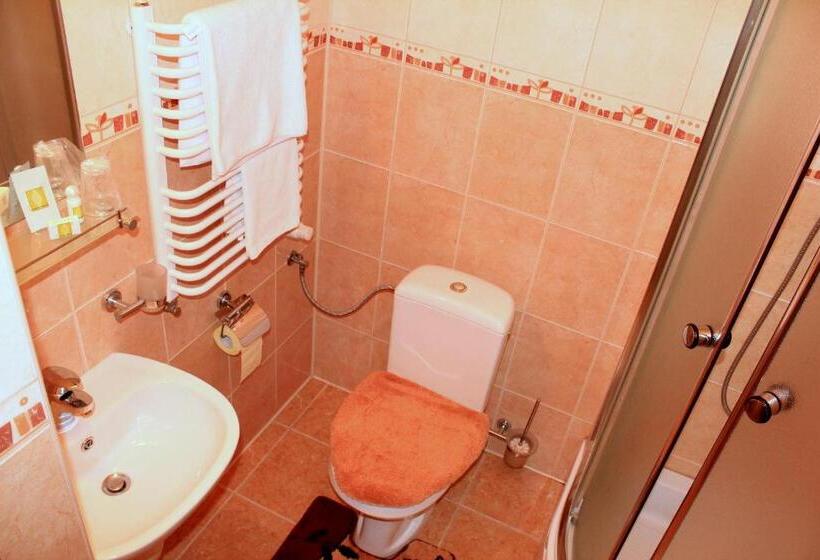 חדר סטנדרט יחיד, Parkowa  Noclegi Ze śniadaniem