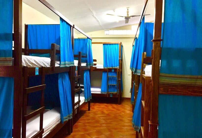 تختخواب در اتاق مشترک, Hostal Antigua