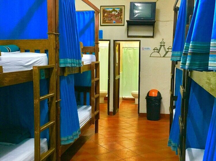 تختخواب در اتاق مشترک, Hostal Antigua