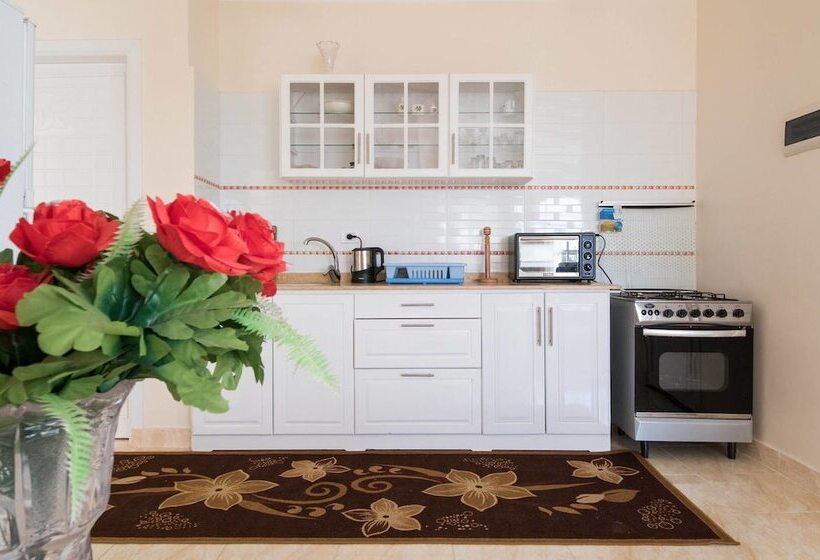 استودیوی لوکس, Lotus Lis House