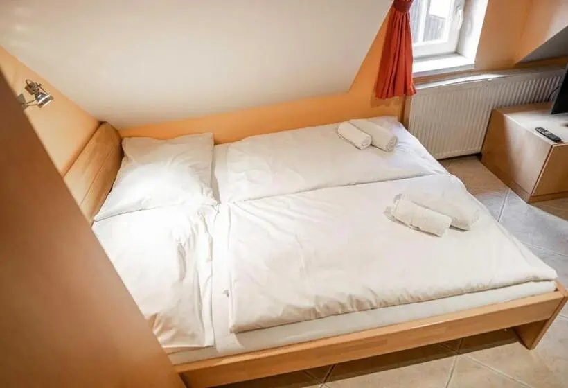Standard-huone, Penzion Topas