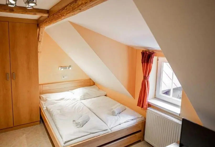 Standard-huone, Penzion Topas