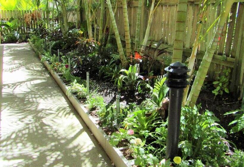 דירה קלאסית חדר שינה אחד, Sunlit Waters Studio Apartments