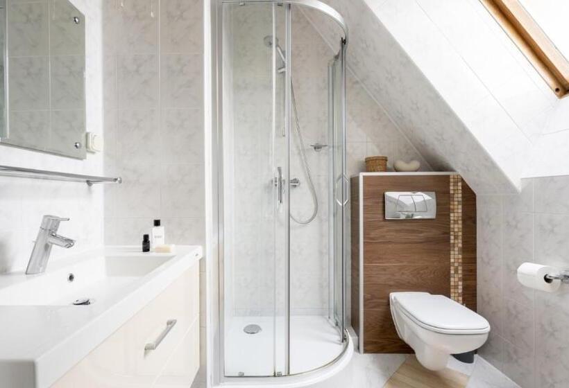 استودیو استاندارد با چشمانداز, Panorama Premium   Dla Aktywnych